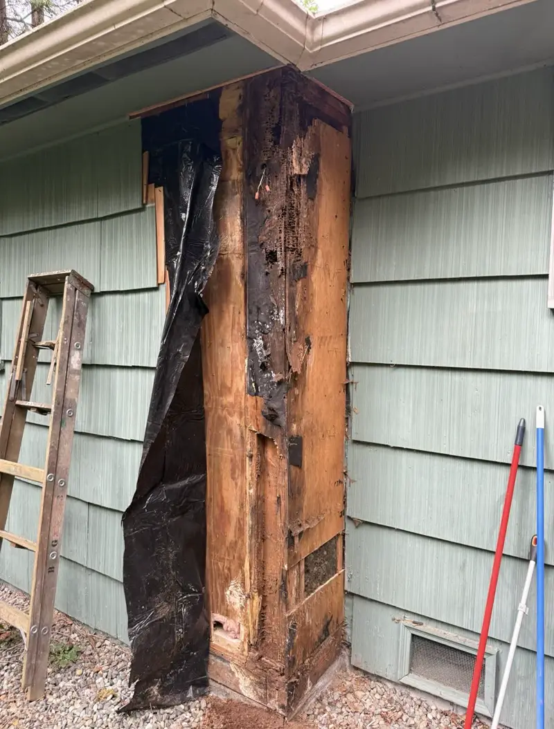 Before: Rotted chimney chase framing
